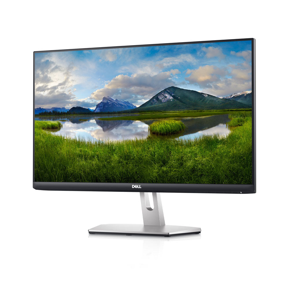 Dell S2421HN 24-inch Full-HD IPS Monitor with 8ms Response Time and AMD FreeSync